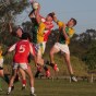 Brisbane Shamrocks through to the Championship&nbsp;Final